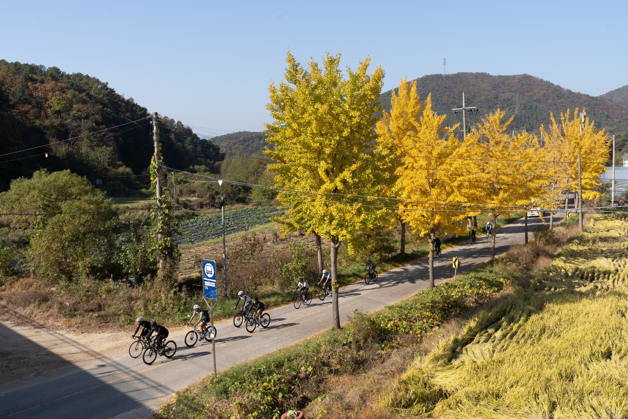 BCA00503_fullres.jpg